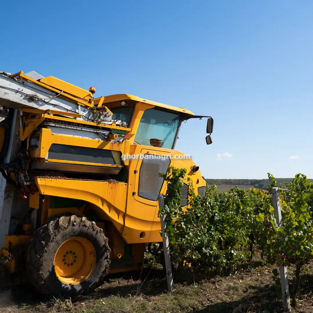 خرید و فروش دروگر در مشهد