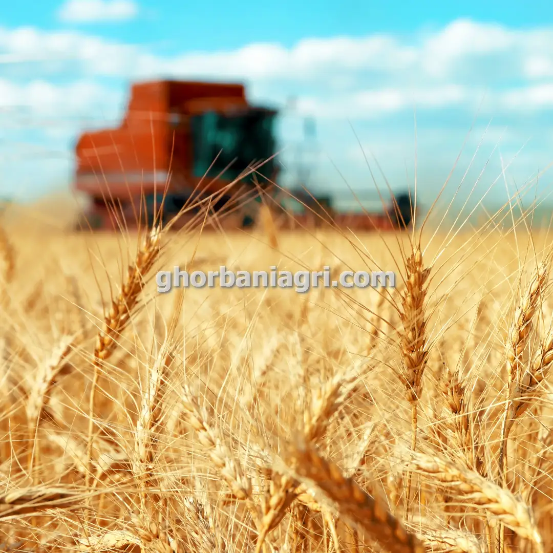 ادوات کشاورزی ابزارهای مدرن در مشهد